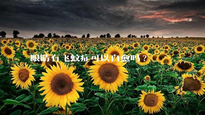 眼睛有飞蚊症可以自愈吗?