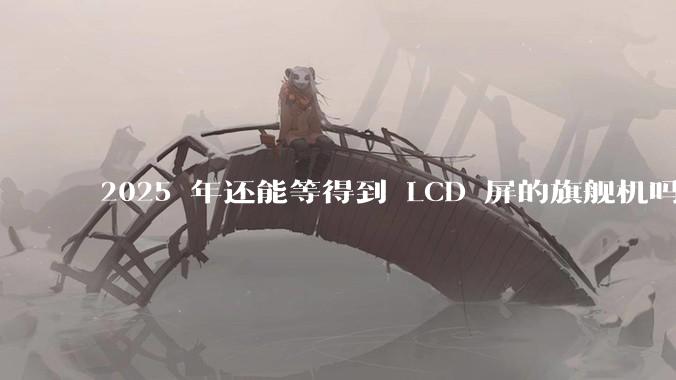 2025 年还能等得到 LCD 屏的旗舰机吗？