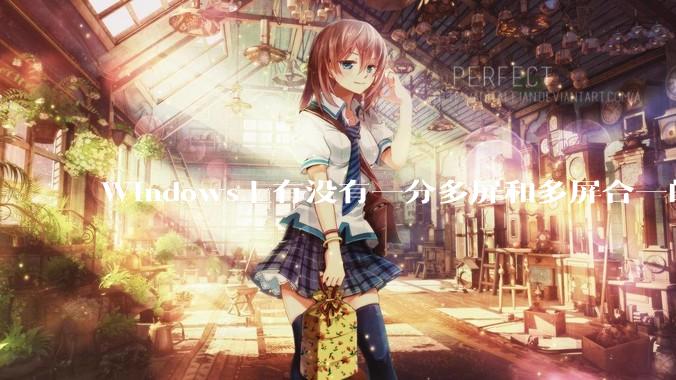 Windows上有没有一分多屏和多屏合一的软件？