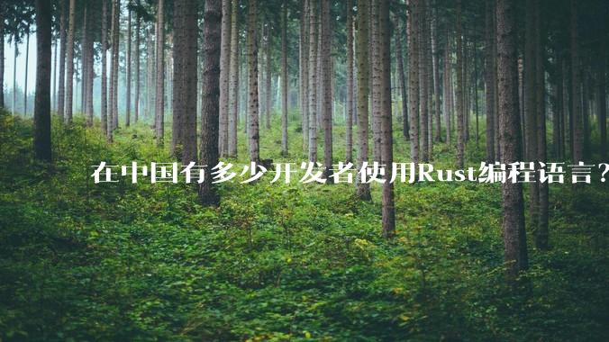 在中国有多少开发者使用Rust编程语言？