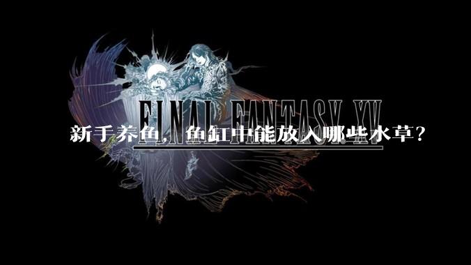 新手养鱼，鱼缸中能放入哪些水草？