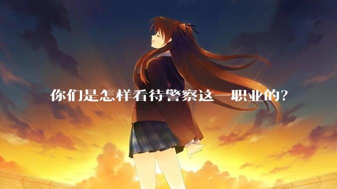 你们是怎样看待警察这一职业的？