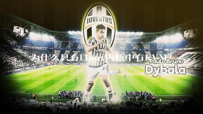 为什么只有Linux内核中有KVM？