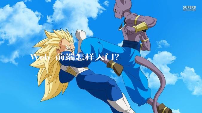 Web 前端怎样入门？