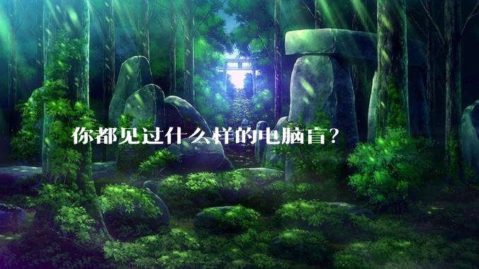 你都见过什么样的电脑盲？