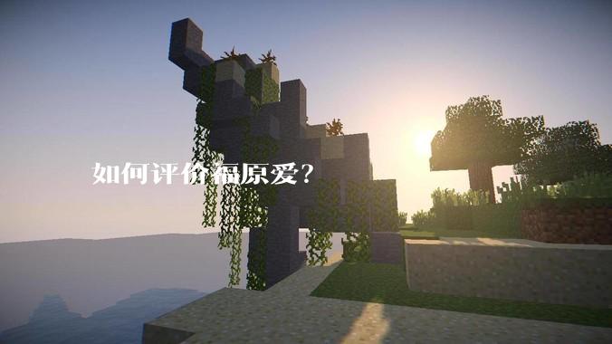 如何评价福原爱？