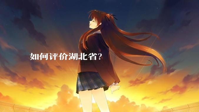 如何评价湖北省？