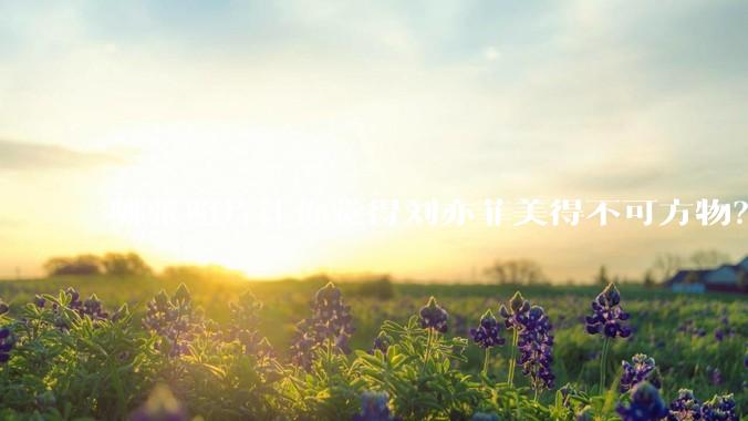 哪张照片让你觉得刘亦菲美得不可方物？