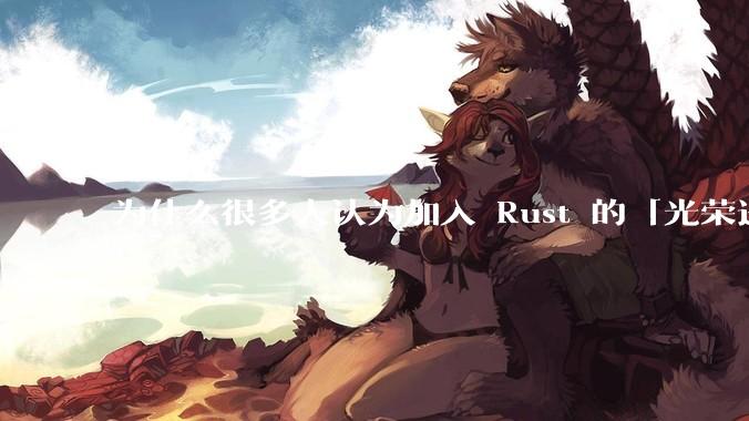 为什么很多人认为加入 Rust 的「光荣进化」是一件坏事？