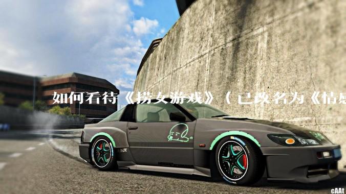 如何看待《捞女游戏》（已改名为《情感反诈模拟器》）定档 6 月 19 日？