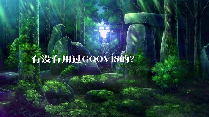有没有用过GOOVIS的？