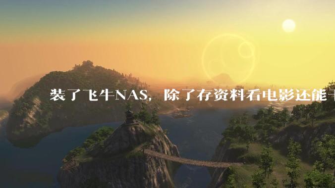 装了飞牛NAS，除了存资料看电影还能干什么？