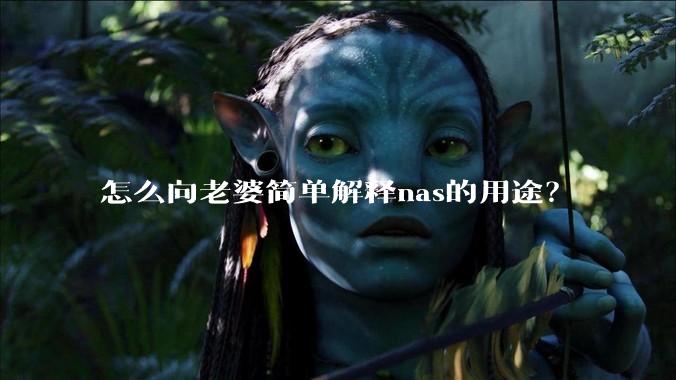 怎么向老婆简单解释nas的用途？