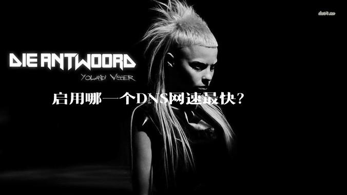 启用哪一个DNS网速最快？